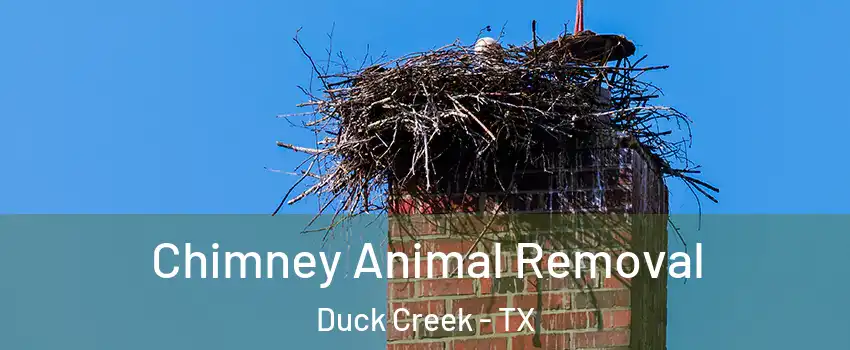 Chimney Animal Removal Duck Creek - TX