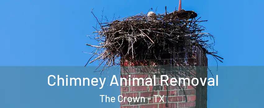 Chimney Animal Removal The Crown - TX